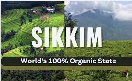 Sikkim The Worlds First Organic State Pioneering Sustainability - By Seema Khanna